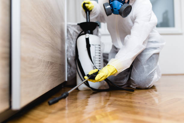 Best Rat Extermination Near Me  in Homedale, ID