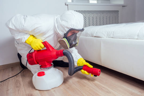 Best Termite Control Services  in Homedale, ID