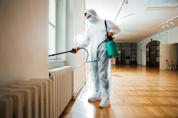 Best Local Pest Control Services  in Homedale, ID