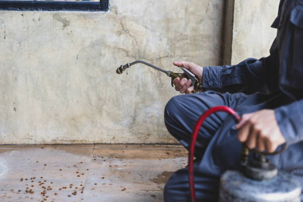 Best Pest Control Near Me in Homedale, ID